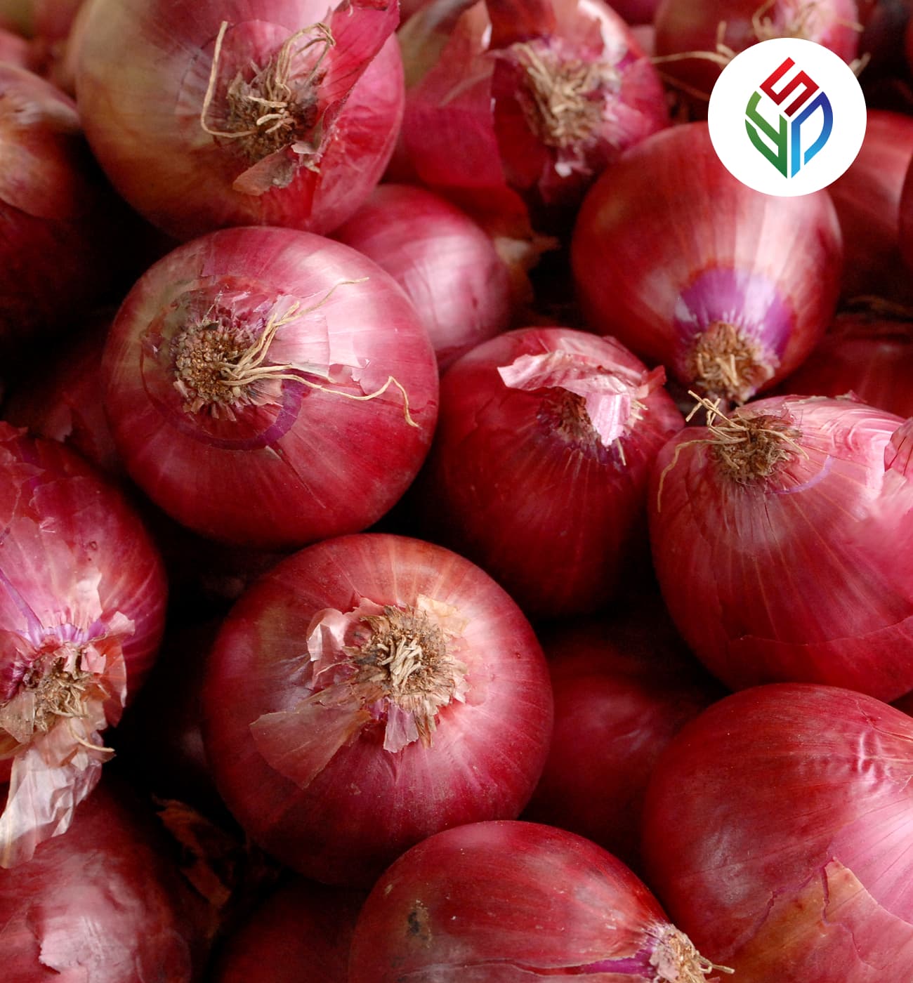 Red Onion